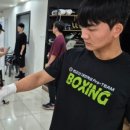 조치원 세종복싱클럽 이미지