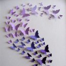 나비유치원 이미지