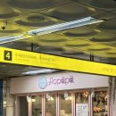 수서두리약국 | 수서역 SRT 맛집: 부산보다 맛있었던 사위식당 수서 낙곱새(내돈내산)