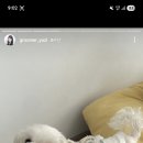 다녀오개습니다 이미지