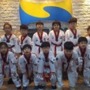 용인대 탑 태권도 이미지