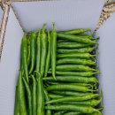 우필농장 이미지