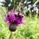 방이 부대 이미지