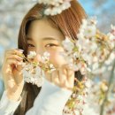 정채연, 세이마이네임 준휘, 아일릿 모카의 공통점은? 인간 벚꽃 메이크업 이미지