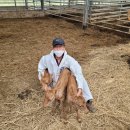 세쌍둥이네 이미지