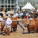시연 이미지