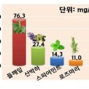 비타민 B가 풍부한 식품과 비타민B 효능 이미지