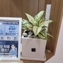 마음톡의원 이미지