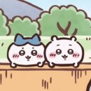 다가짐 | [홍대] 봅베꽁 4년만에 만남가짐