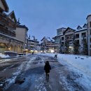 알펜시아당구장 이미지