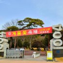 천사의정원