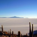 우유니(UYUNI) 이미지