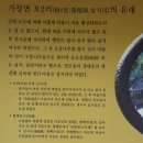 오동1교 이미지