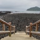 햇살정원 제주캠핑민박 이미지