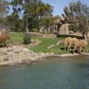 (주)펫키즈 이미지