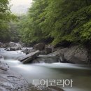 무주반딧불투어 이미지