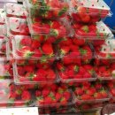 주몽농장 이미지