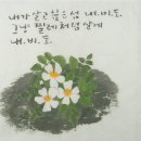 이불섬 이미지