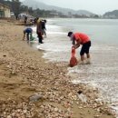 거제-거제-거제-비상-30 이미지