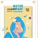 시스터후드