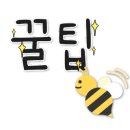 폰토피아