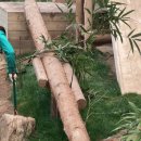 꽁냥꽁냥 이미지