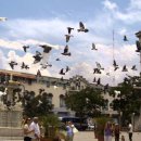 월요일 저녁약속. 이미지