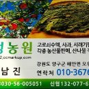 민정농장2 네이버블로그