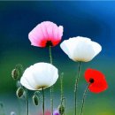 9월 16일 화요일 간추린 뉴스와 날씨 이미지