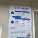 [금산사 모악랜드] 어른이들도 신나게 놀다온 눈썰매장 | 전주근교여행