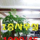 남산동역 8번출구 이미지