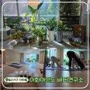 요가교실_오전 | 일산소그룹요가! &lt;이화마인드 바디연구소&gt; 정신이 맑아지고 몸이 가벼워지는 체험 수업 후기!