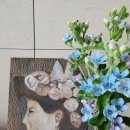 옥시블루 꽃 이미지