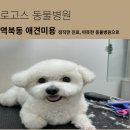이승재동물병원 이미지