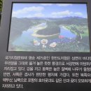 느티나무캠핑장 이미지