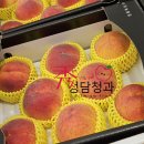 수(秀)박스