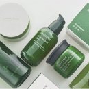 자연주의디자인하우스 이미지