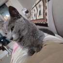 한신대길 이미지