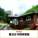 GR(울진군)-[불영계곡로]-상-5 | 통고산 자연휴양림 연립동 울진 여행 숙소 1박 후기