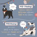 송 동물의료센터 이미지