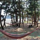 그림나래 힐링캠프 이미지