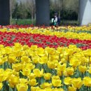 낙동강관리본부 화명생태공원 6 이미지