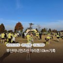 10코스 | 부산 미니언즈런 마라톤 10km 코스, 후기 기록하기