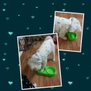 금동이PC 이미지