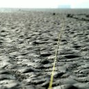 아버지의바다 이미지