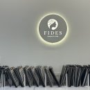 피데스 이미지