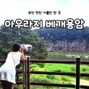 아우라지 관광지 | [포천/연천] 한탄강 주상절리길 독특한 아우라지 베개용암 주차장 전망대 너무 멋진데?