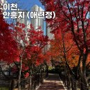 애련정로,중리천로113번길 | 이천 단풍 명소 안흥지 애련정