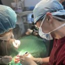 효치과기공소 이미지