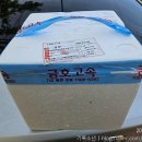금호수산 - 동작구 노들로 674 | 목포 낙지 반접(10마리) [금호팔도마켓-금호고속 직송 후기]